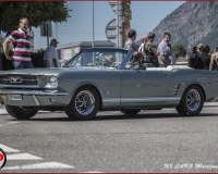 TSR Watermark - 0631